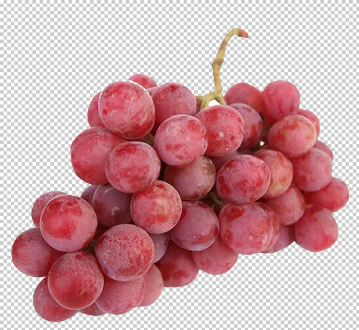 红提免扣素材psd模版下载