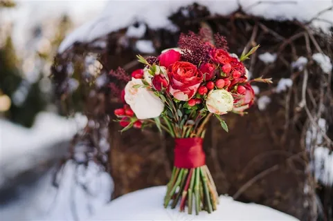 积雪上的一束唯美鲜花高清图片 积雪上的一束唯美鲜花高清图片