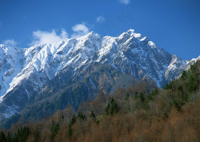 冰天雪地 165
