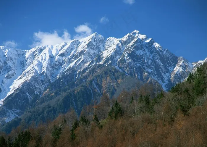 冰天雪地 165
