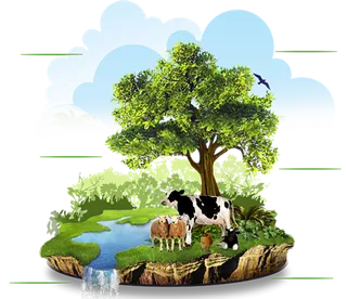 奶牛水源种植现代农业