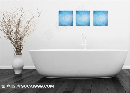 室内浴缸干枝与装饰画家居摄影高清图片 室内浴缸干枝与装饰画家居摄影高清图片