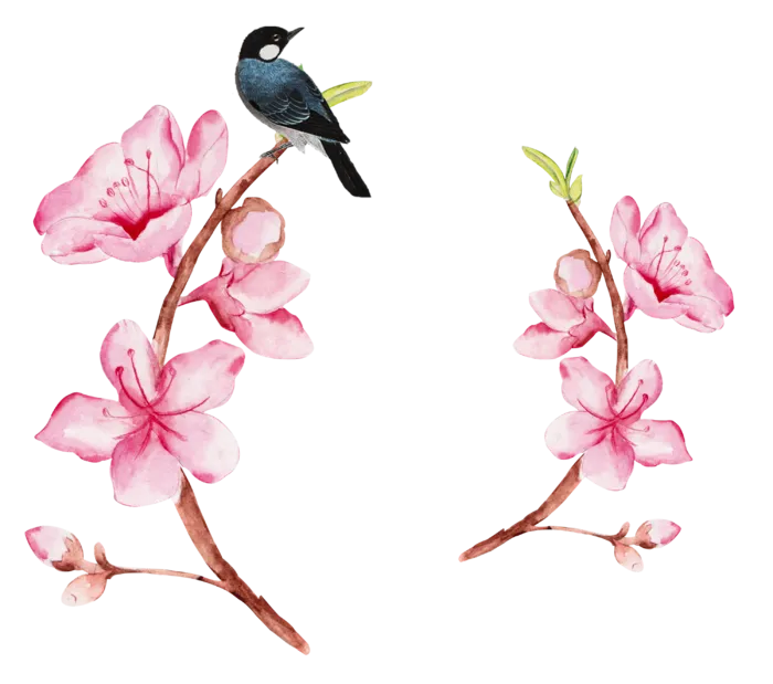 粉色简约风手绘鲜花花朵水墨画PNG素材图片 (30)