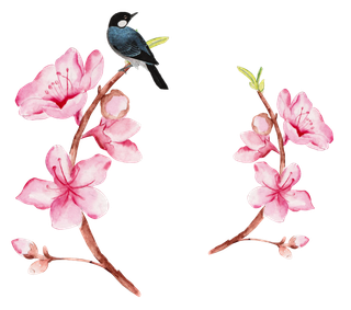 粉色简约风手绘鲜花花朵水墨画PNG素材图片 (30)