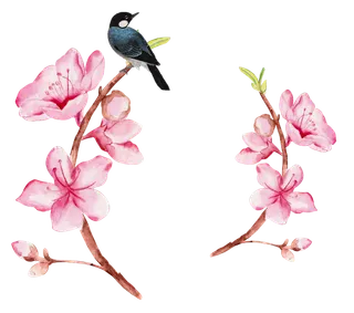 粉色简约风手绘鲜花花朵水墨画PNG素材图片 (30)