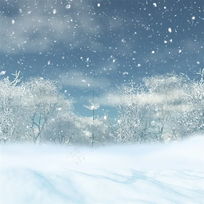 圣诞雪景 小雪