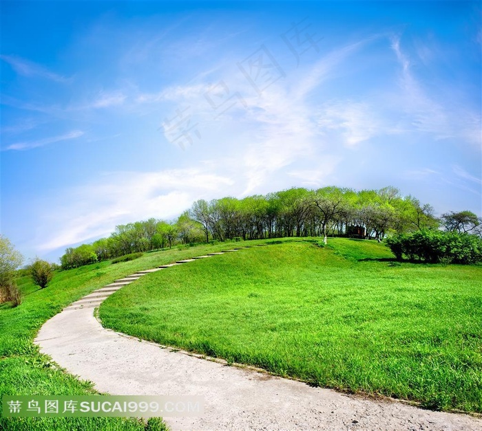 野外通往一片树林的路草原摄影高清图片