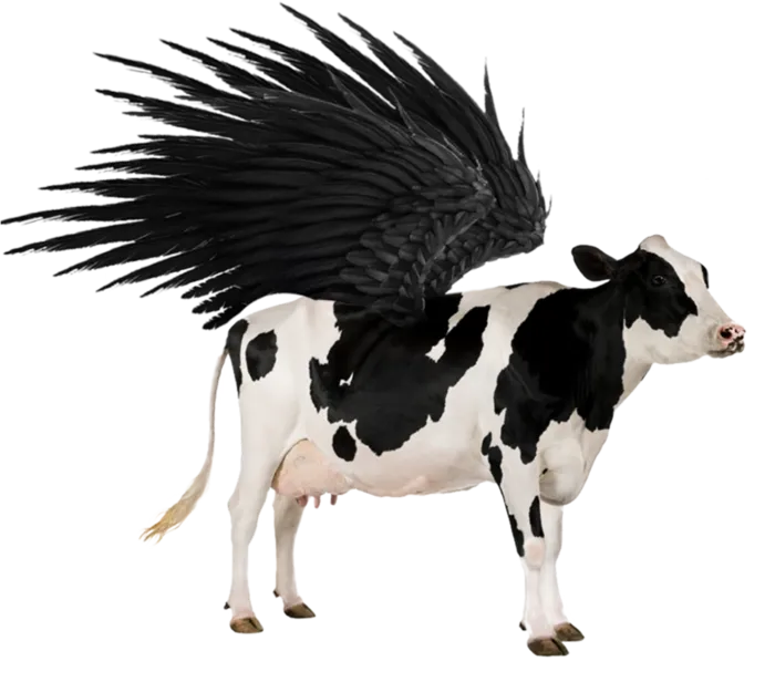 黑白奶牛翅膀素材现代农业