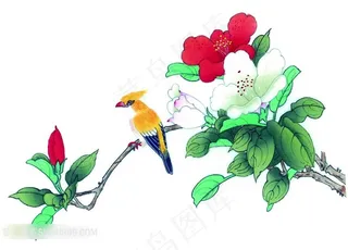 工笔站在花枝上的小鸟