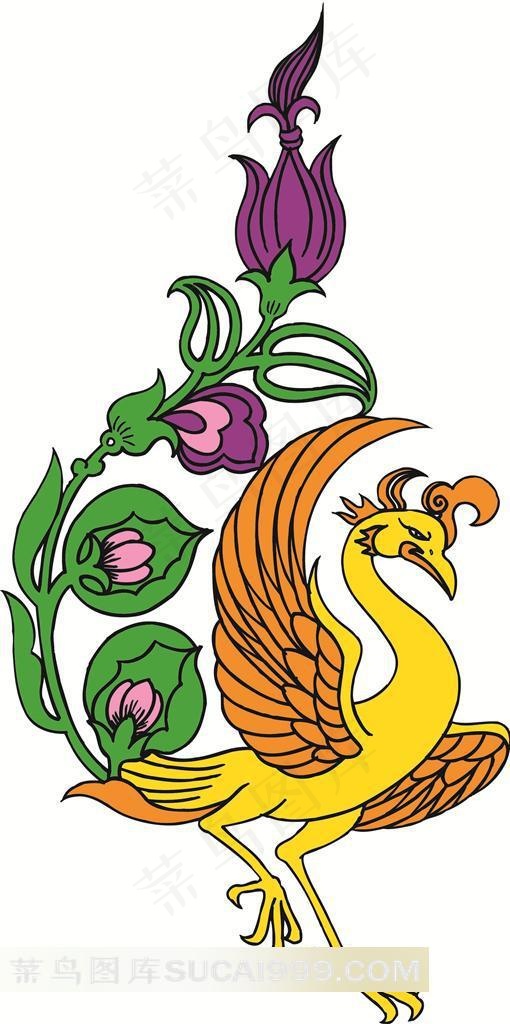 美丽的凤凰图片