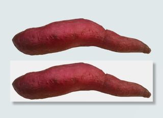 洗干净烤红薯紫薯地瓜掰开花青素免抠实拍高清摄影元素素材