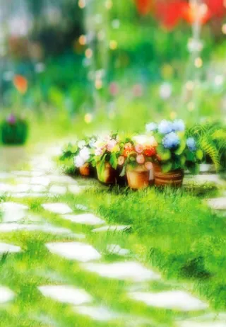 高清背景大图绿草和花