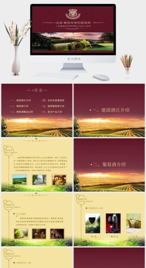 红酒葡萄酒知识培训宣传介绍PPT模板预览图