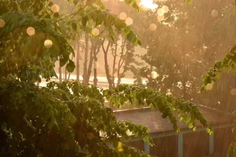 早上下雨的图片 早上下雨的图片