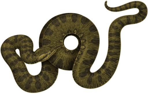 蟒蛇 PNG(630x400)