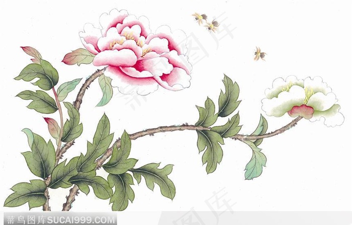 工笔画—牡丹