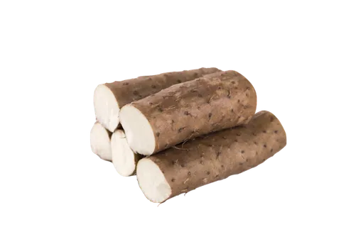 新鲜山药蔬菜素材免扣