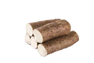 新鲜山药蔬菜素材免扣