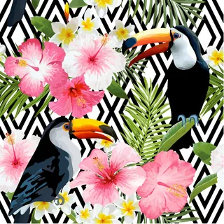 大嘴鸟 四方延续图案 面料图案