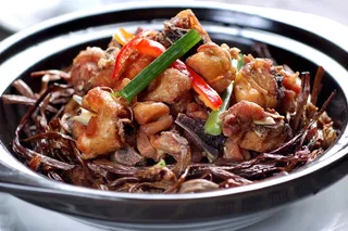 砂锅石锅美食煲类特色菜煲仔茶菇鸡