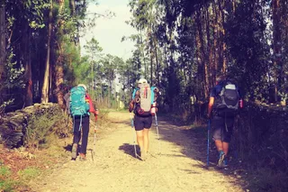 背包旅行的图片