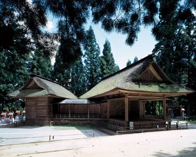 松树林前的农家院内的木板房 松树林前的农家院内的木板房