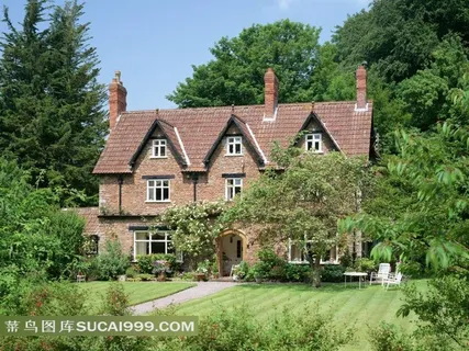 树林中间的房子 树林中间的房子