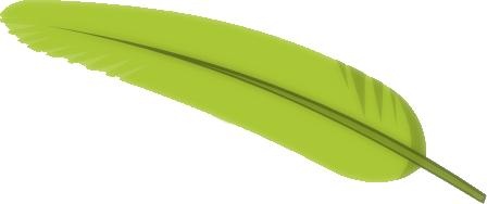 绿色羽毛图片 PNG免抠