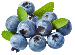 蓝莓 (3)水果超市商品白底图免抠实物摄影png格式图片透明底
