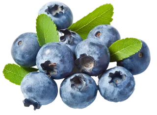 蓝莓 (3)水果超市商品白底图免抠实物摄影png格式图片透明底