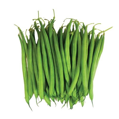 绿豆 PNG免抠(500x500)