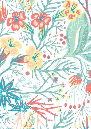 喇叭花 绿叶 春季色系