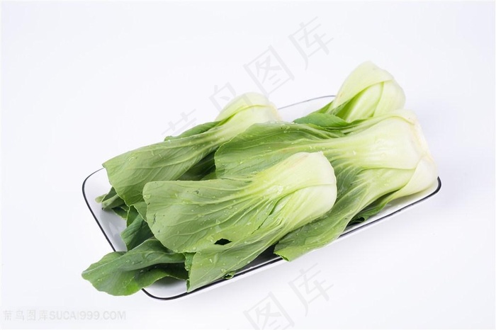 绿色油菜摄影图片