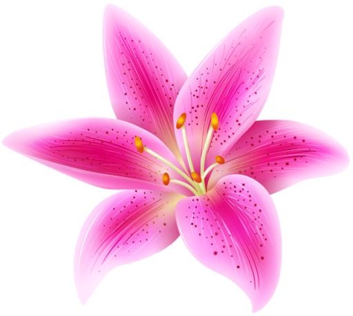 百合花免抠(600x539)