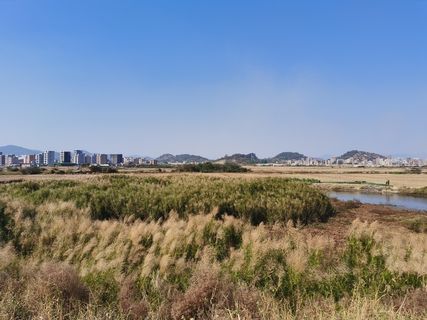 蓝天白云河边草地小花朵