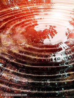 美丽水纹涟漪景色高清 美丽水纹涟漪景色高清