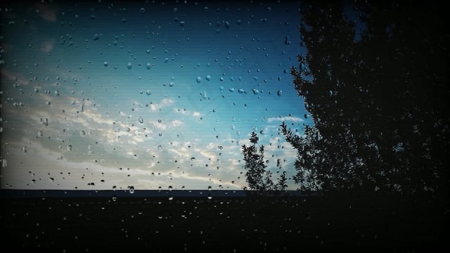 云, 雨, 自然, 雷, 植物, 风, 黑暗的, 景观