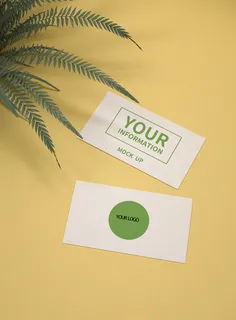 高端大气商务名片样机