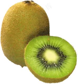 猕猴桃免抠素材 (17)