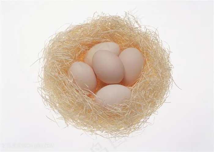 一窝鸡蛋高清图