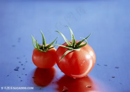 小西红柿高清特写素材 小西红柿高清特写素材