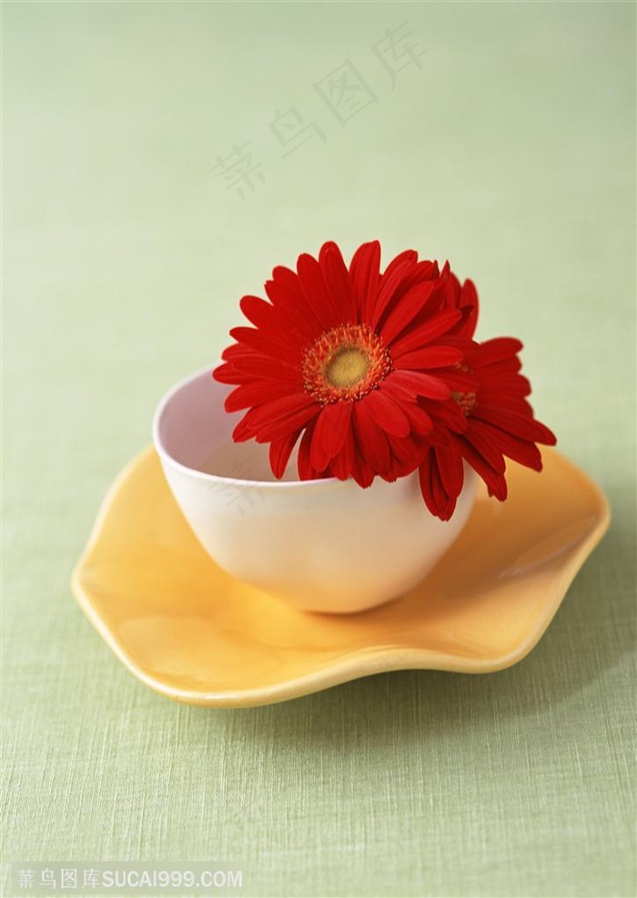家俱饰品-托盘的碗里装着两朵红色非洲菊