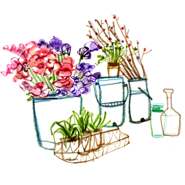 手绘花卉花瓶植物PNG免扣素材