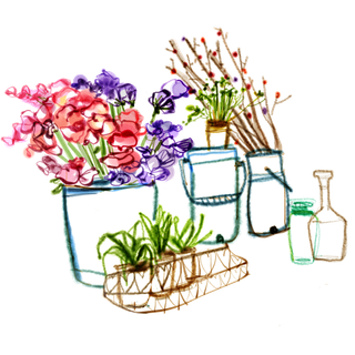 手绘花卉花瓶植物PNG免扣素材