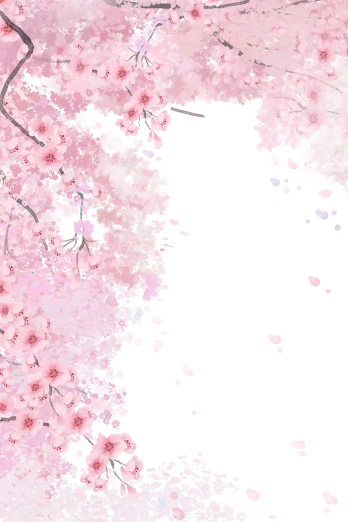 二十四节气春天春季樱花竖版海报边框