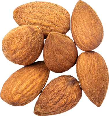 00_Almonds