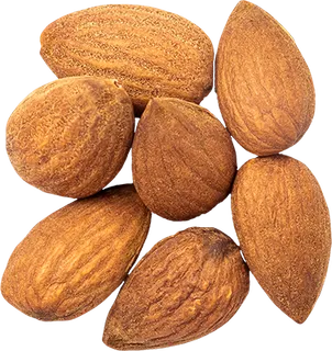 00_Almonds