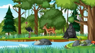 绿色大山与小溪流动物