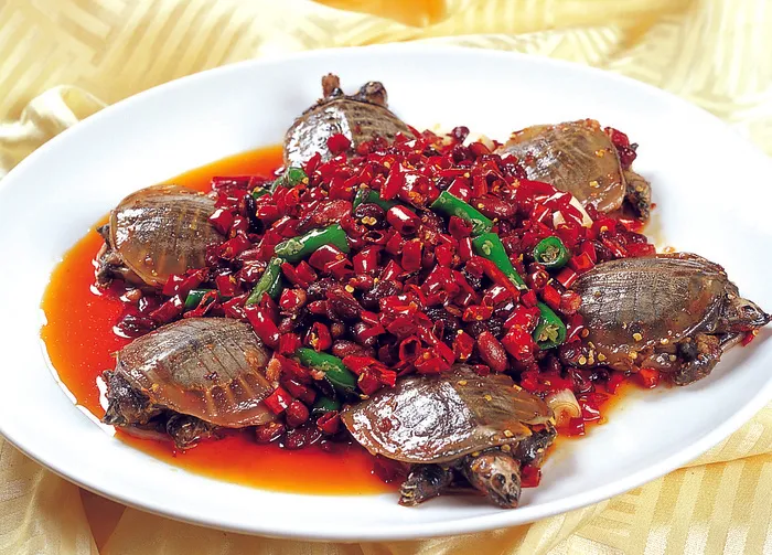 95C-258童子甲鱼辣翻天