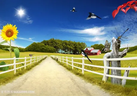 乡间小道美景韩式自然背景